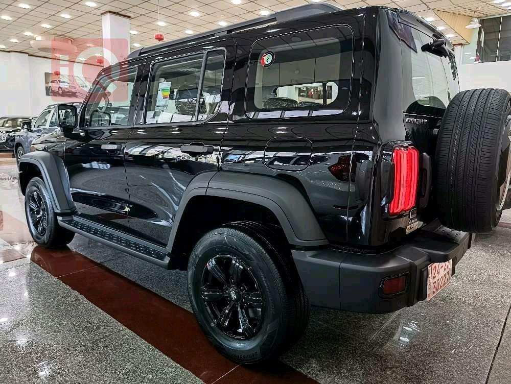 جريت وول 300